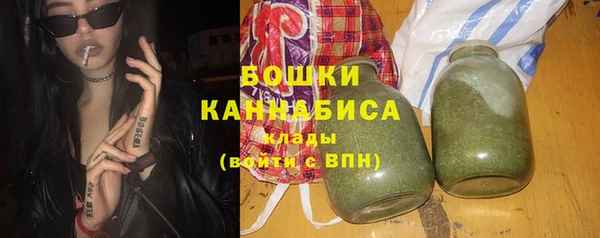шишки Заволжье