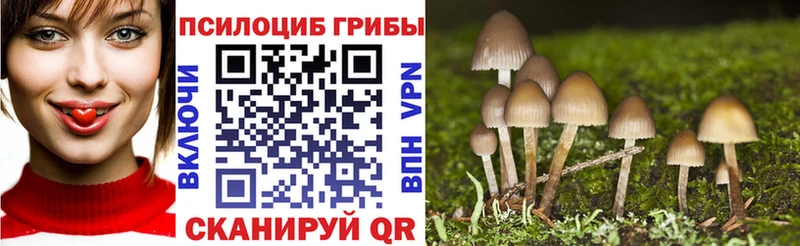 Псилоцибиновые грибы Cubensis  Курск 
